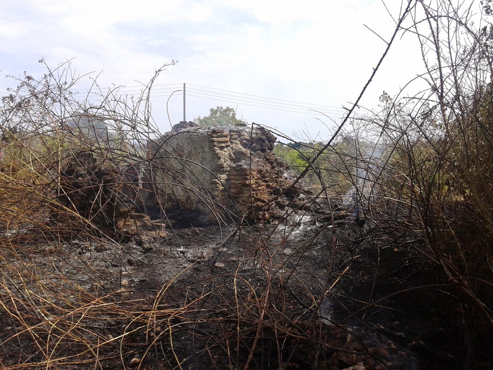 ΦΩΤΟ-Φωτιά στην Πρέβεζα