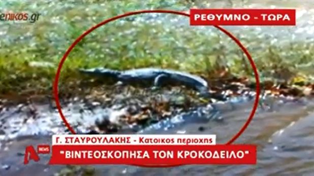 ΒΙΝΤΕΟ-“Εγώ τράβηξα τον κροκόδειλο”