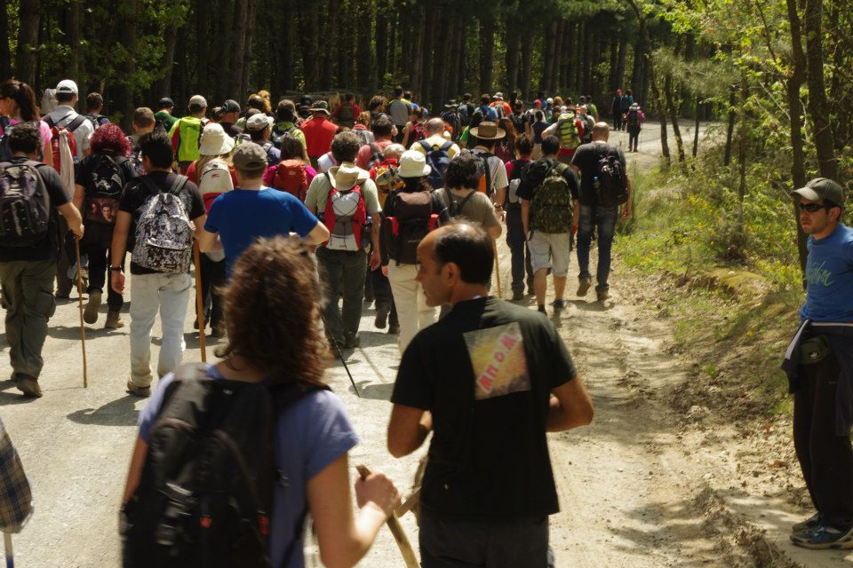 Ελεύθεροι με όρους άλλοι δέκα κατηγορούμενοι για τα επεισόδια στη Χαλκιδική
