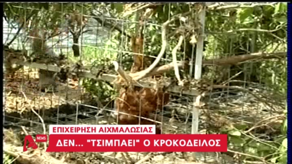 ΒΙΝΤΕΟ-Ο Σήφης δεν έφαγε το δόλωμα