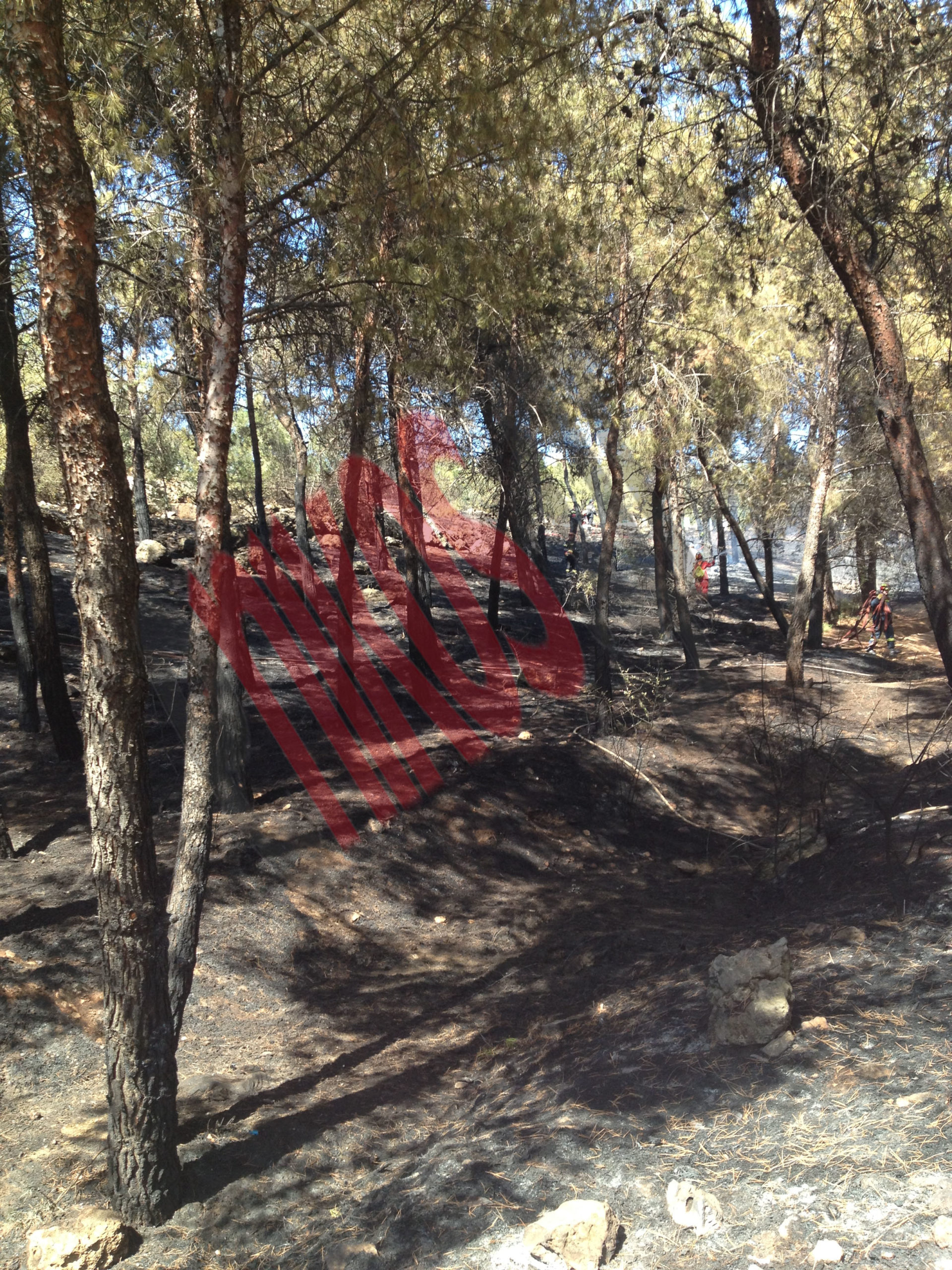 ΦΩΤΟ-Κάηκαν 4 στρέμματα στον Καρέα