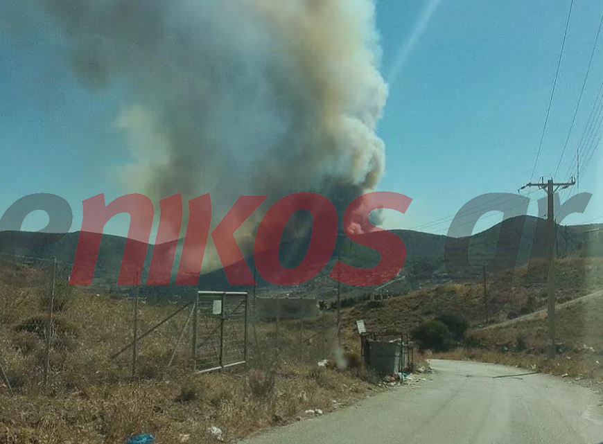 ΦΩΤΟ-Η πυρκαγιά στην Κερατέα-Απειλείται κατοικημένη περιοχή