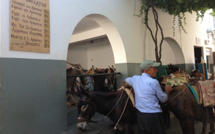 Δικογραφία για τα…γαϊδουράκια της Λίνδου