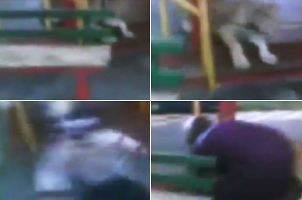 ΒΙΝΤΕΟ-Μητέρα έσωσε το μωρό της από λιοντάρι