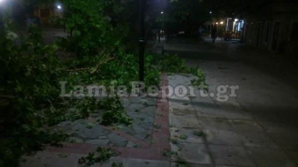 Τραγωδία στη Λαμία-Θάνατος 9χρονου από πτώση δέντρου-Συνελήφθη ο υπεύθυνος του δήμου