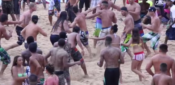 ΒΙΝΤΕΟ-Άγριο ξύλο σε παραλία της Χαβάης