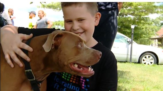 ΒΙΝΤΕΟ-Πιτ μπουλ έσωσε τη ζωή ενός κωφού αγοριού