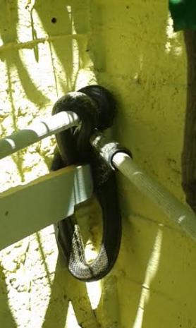 ΦΩΤΟ-Φίδι σε αυλή σπιτιού στην Πάτρα