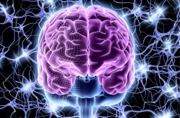 Βρέθηκε ο “διακόπτης” της συνείδησης;