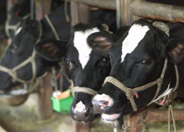 Συναγερμός για πιθανά κρούσματα νόσου του άνθρακα από κρέας