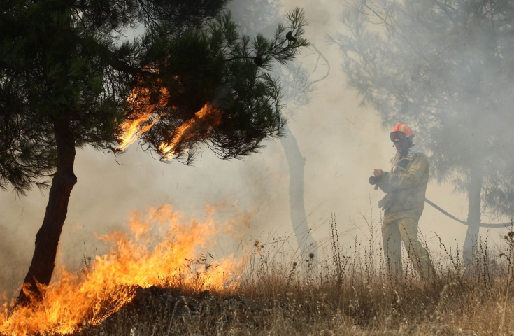 Πυρκαγιά σε δάσος στην Ηλεία