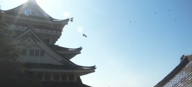 ΒΙΝΤΕΟ-Νίντζα… γένους θηλυκού