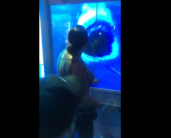 ΒΙΝΤΕΟ-Επίθεση καρχαρία σε 3D