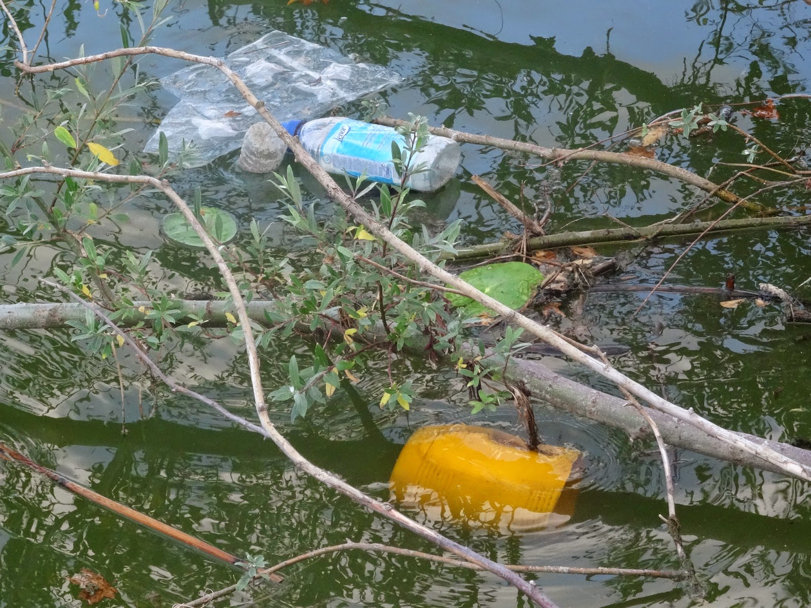 ΦΩΤΟ-γεμάτη σκουπίδια η λίμνη Παμβώτιδα