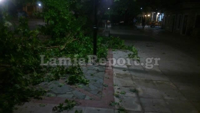 ΦΩΤΟ-Τραγωδία στη Λαμία-Νεκρό το 9χρονο αγόρι που καταπλάκωσε ο πλάτανος