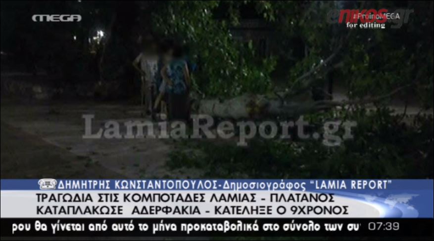 ΒΙΝΤΕΟ-«Από τύχη δεν είχαμε κι άλλα θύματα με τον πλάτανο»