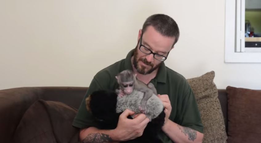 ΒΙΝΤΕΟ-Μια αλλόκοτη… φιλία