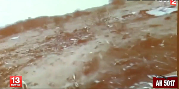 Νέα στοιχεία για τη συντριβή του αεροπλάνου της Air Algerie