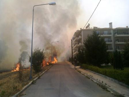 ΒΙΝΤΕΟ-Κινδύνεψαν κατοικίες από φωτιά στην Κοζάνη