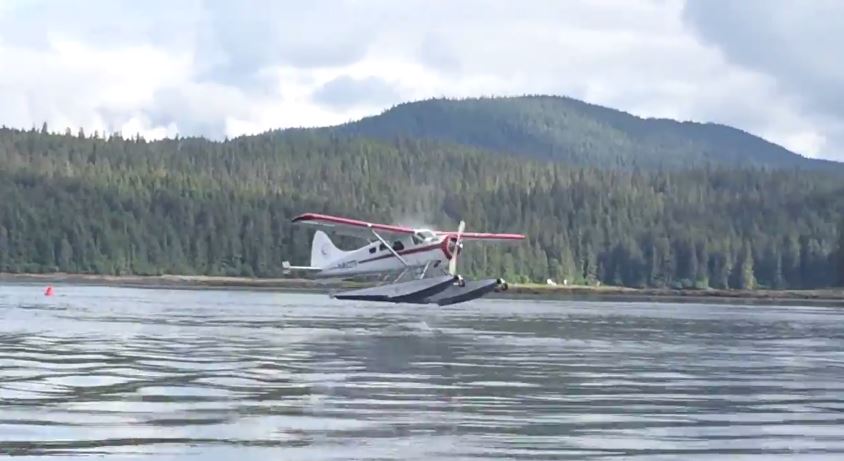 ΒΙΝΤΕΟ-Απέφυγε φάλαινα στην προσθαλάσσωση