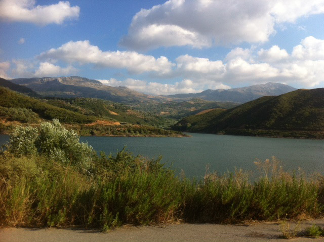 BINTEO-Αναστάτωση και ερωτηματικά για τον κροκόδειλο-Τι λένε αυτόπτες μάρτυρες