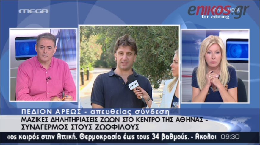 ΒΙΝΤΕΟ-Μαζικές δηλητηριάσεις αδέσποτων στο κέντρο της Αθήνας