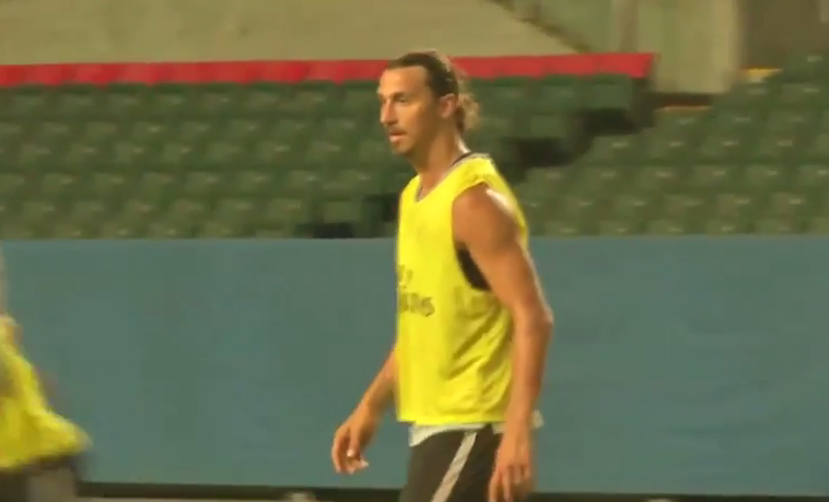 ΒΙΝΤΕΟ-Όταν το Τάε Κβον Ντο συναντά τον… Ιμπραΐμοβιτς