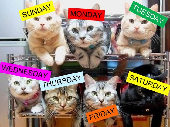 Κουίζ-Ποια είναι η αγαπημένη σου ημέρα;