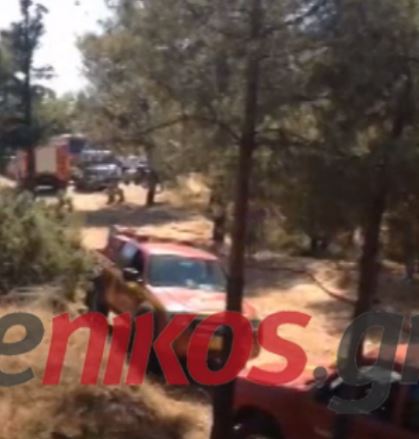 ΒΙΝΤΕΟ-Η Πυροσβεστική στον Καρέα