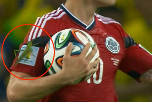 ΦΩΤΟ-Τεράστια ακρίδα στον ώμο του Ροντρίγκες