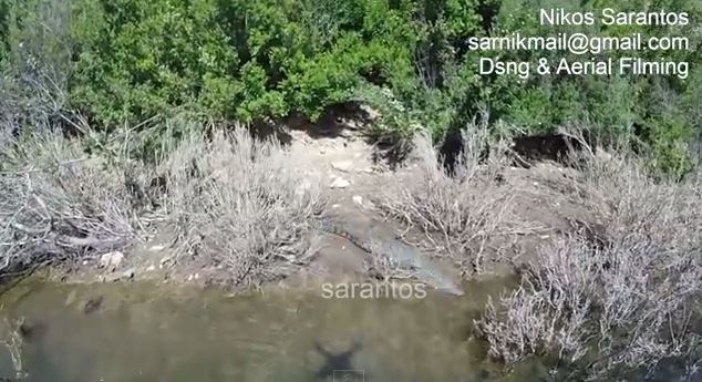 ΒΙΝΤΕΟ-Ο “Σήφης” κόβει βόλτες στη λίμνη