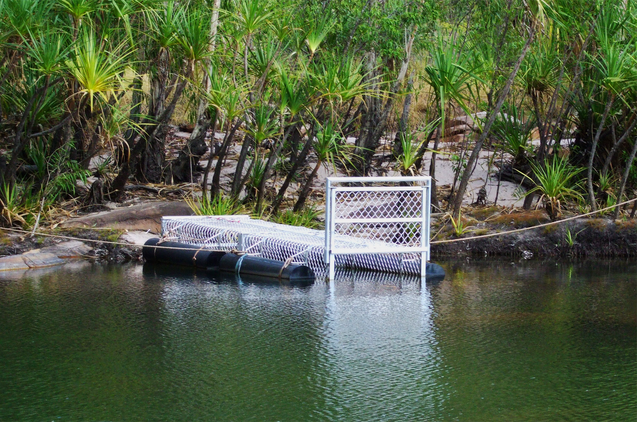 Τοποθετούνται οι παγίδες για τον Σήφη…τον κροκόδειλο