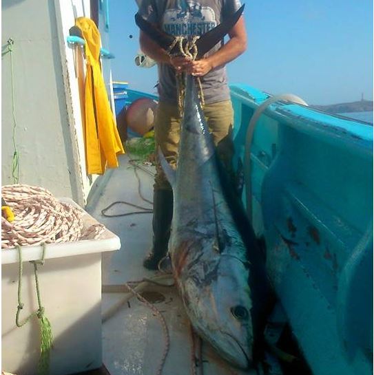 ΦΩΤΟ-Έπιασαν ψάρι 200 κιλών