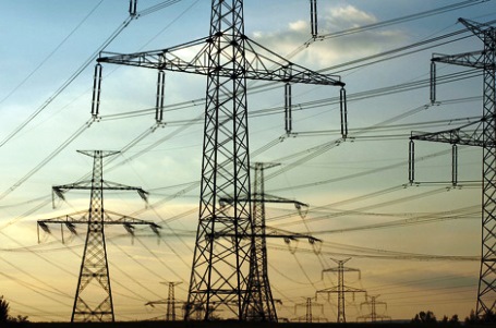 Πτηνό προκάλεσε διακοπή ρεύματος