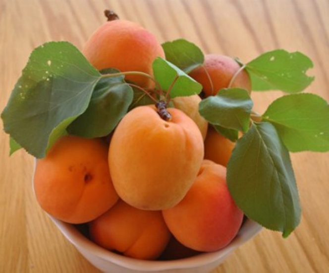 Γιατί πρέπει να τρώμε βερίκοκα