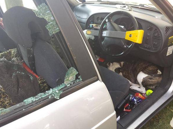 ΦΩΤΟ-Έσπασαν τα τζάμια του αυτοκινήτου για να σώσουν τον σκύλο