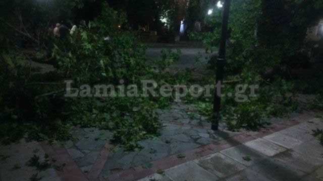 ΒΙΝΤΕΟ-Ελεύθερος ο υπάλληλος του δήμου Λαμίας