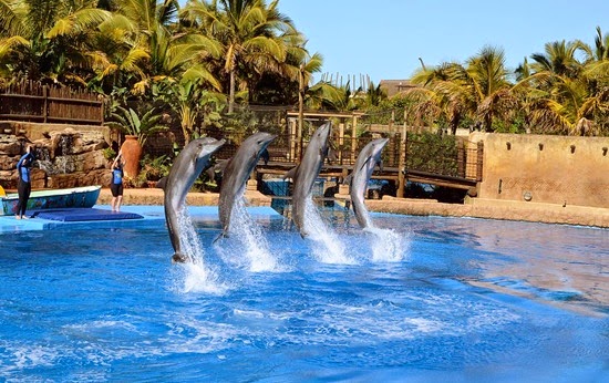 perierga.gr - Tα 10 πιο εντυπωσιακά ενυδρεία στον κόσμο!