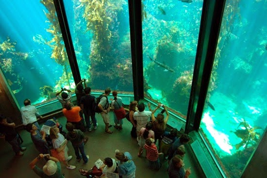 perierga.gr - Tα 10 πιο εντυπωσιακά ενυδρεία στον κόσμο!