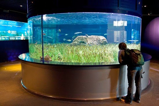 perierga.gr - Tα 10 πιο εντυπωσιακά ενυδρεία στον κόσμο!