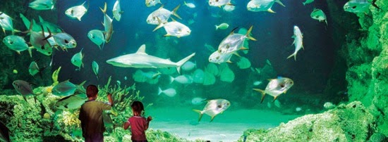 perierga.gr - Tα 10 πιο εντυπωσιακά ενυδρεία στον κόσμο!