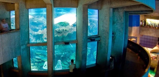 perierga.gr - Tα 10 πιο εντυπωσιακά ενυδρεία στον κόσμο!