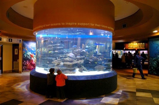 perierga.gr - Tα 10 πιο εντυπωσιακά ενυδρεία στον κόσμο!