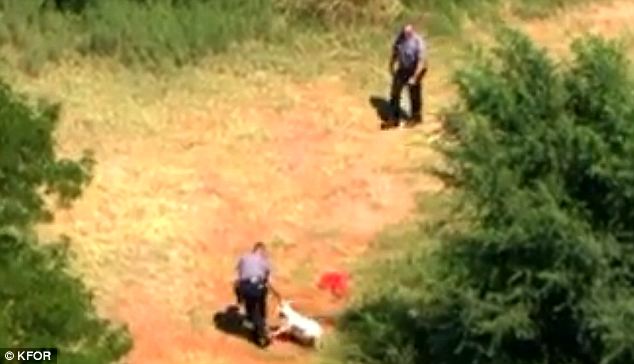 Loyal: Oklahoma City officials are seen here struggling to get a fiercely loyal bull terrier away from his deceased owner in the searing summer heat