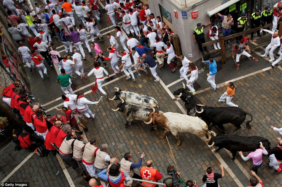 Runners - or 'mozos' - run with Torrestrella's fighting bulls along the Curva de Estafeta during the second day of the San Fermin Running Of The Bulls festival today
