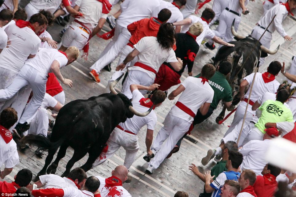 The controversial run sees people racing with the bulls along a narrow 850 metre course from a holding pen to the city bull ring