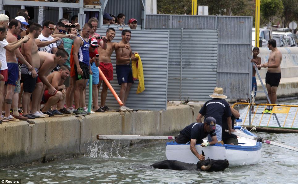 A man grips and holds the bull's horn as men watch from the safety of land during the traditional festival on the eastern coast of Spain