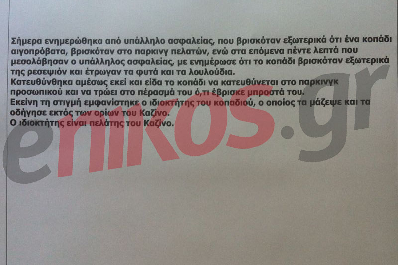 “Πάρκαρε” τα πρόβατα και μπήκε στο καζίνο