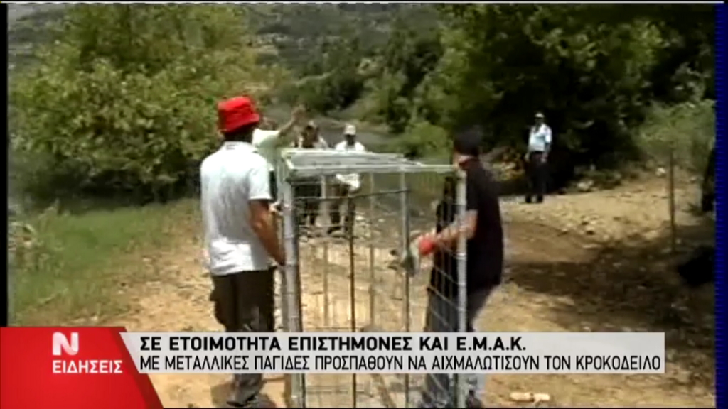 ΒΙΝΤΕΟ-Αυτές είναι οι παγίδες για τον κροκόδειλο