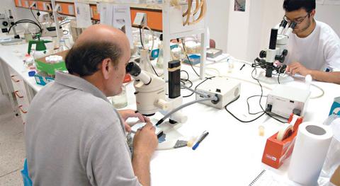 «Στο φως» το κρητικό DNA